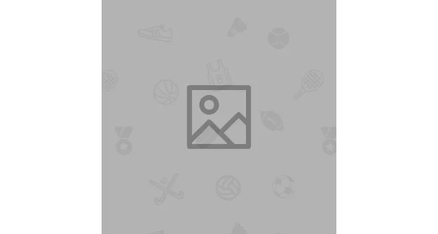 Journal 3 Translation tool