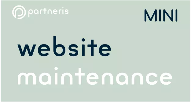 Mājas lapas uzturēšana - MINI