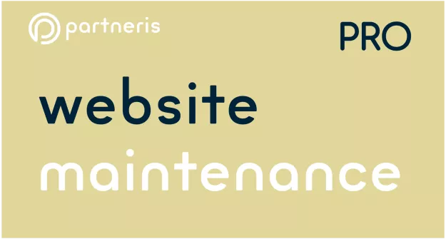 Mājas lapas uzturēšana - PRO